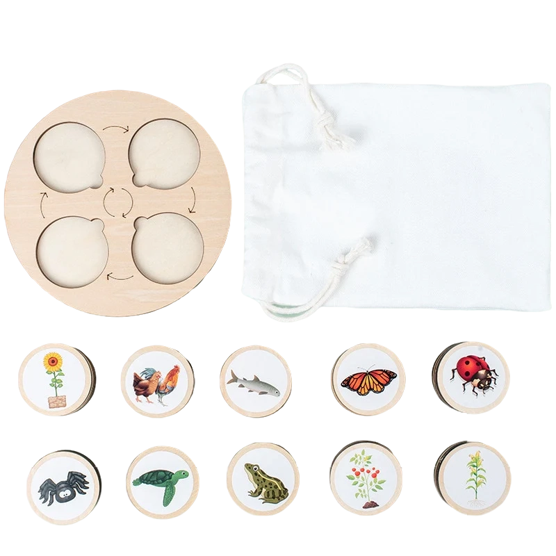 Kit de tableau de cycle de vie